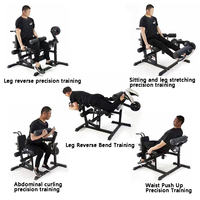 Machine de musculation multifonctionnelle pour les jambes, avec plateaux de musculation pour flexion et extension des jambes, équipement de musculation commercial, ensemble complet