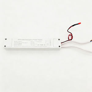 Conducteur d'urgence LED AC-DC double sortie 20W de haute qualité avec boîtier en plastique certifié ROHS - Product Image 2