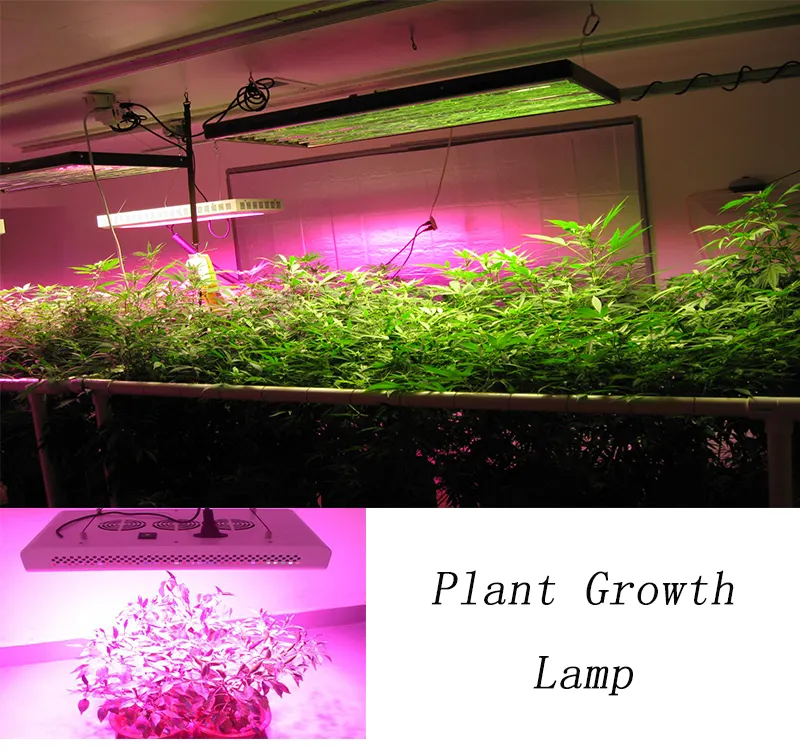 Planta personalizada cresce luz Smd Led 0,5 2835 3030 2016 5730 Chip 0.5W Vermelho 660Nm 730Nm Luz Quente