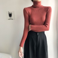 Pull à Col Roulé Femme 2024 Coupe Slim Tricot de Base Manches Longues Polyvalent avec Doublure Intérieure pour l'Hiver