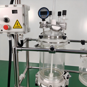 50L 100L 200L 300L 500L 진공 결정화기 재킷형 유리 파일럿 스케일 결정화 반응기 필터 플레이트 포함 - Product Image 2