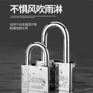 <b>Square</b> Leaf Imitation Stainless Steel Padlock 30mm Single Opening One <b>Key</b> Opens Multiple Padlocks Waterproof IP65 - Product Image 1