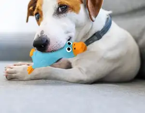 Venta caliente forma de pollo Látex natural lindo divertido perro jugando juguete con chirrido nuevo producto para mascotas