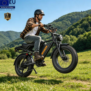 Eu Warehouse 48v 20ah Batteries BK20 Fat Tire Adult Electric Bike City <b>Road</b> Electric Mountain Bike With <b>Back</b> Seat - Product Image 1