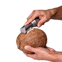 Équipement de pelage électrique robuste pour noix de coco, canne à sucre, taro, citrouille, ananas, melon – Processeur alimentaire industriel