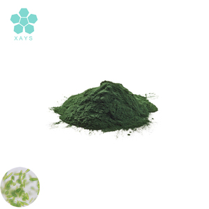 תוספת <span class=keywords><strong>euglena</strong></span> gracilis <span class=keywords><strong>euglena</strong></span> תמצית אבקת - Product Image 1