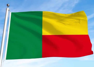 Venta al por mayor al aire libre nuevo 3*5 pies poliéster Día Nacional país <span class=keywords><strong>bandera</strong></span> <span class=keywords><strong>Benin</strong></span> banderas para eventos - Product Image 3