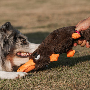 Nuova forma di simulazione ornitorinco cane peluche sound <span class=keywords><strong>toy</strong></span> pet per alleviare la noia giocattolo interattivo prodotti per animali domestici - Product Image 2