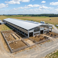 Abri pour moutons en structure acier personnalisée, type pignon, OEM ODM, abri pour bétail avec options de conception à extrémité ouverte en maille, certifié CE