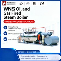 Chaudière à vapeur horizontale à circulation naturelle à tubes de fumée, au gaz naturel liquéfié (GNL), en acier inoxydable, 2000 kg, pour hôtels