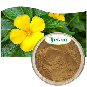 Высококачественный <span class=keywords><strong>100</strong></span> натуральный экстракт Листьев Дамианы, порошок, 5:1 10:1 50:1 - Product Image 2