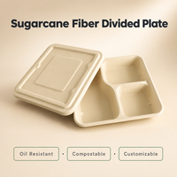 Assiette carrée jetable écologique à 3 compartiments en pulpe de bagasse, 100 % compostable, résistante à l'huile, avec couvercle, pour plats à emporter