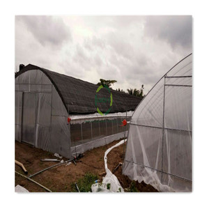 Structure Serre Per Balcone Tunnel Tete Metallique Agricoles 12X6 En Ferro Culture Champignon Mobile Agricole <span class=keywords><strong>Serres</strong></span>-Livres - Product Image 2