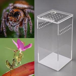 Mini caja de cría de reptiles de acrílico transparente Fácil montaje para la exhibición de araña Escorpión Sling Isopods - Product Image 6