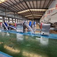 Machine de traitement des oignons en acier inoxydable DY, 500-1000 kg/h, machine à peler et à couper les oignons à haute efficacité, vente directe d'usine