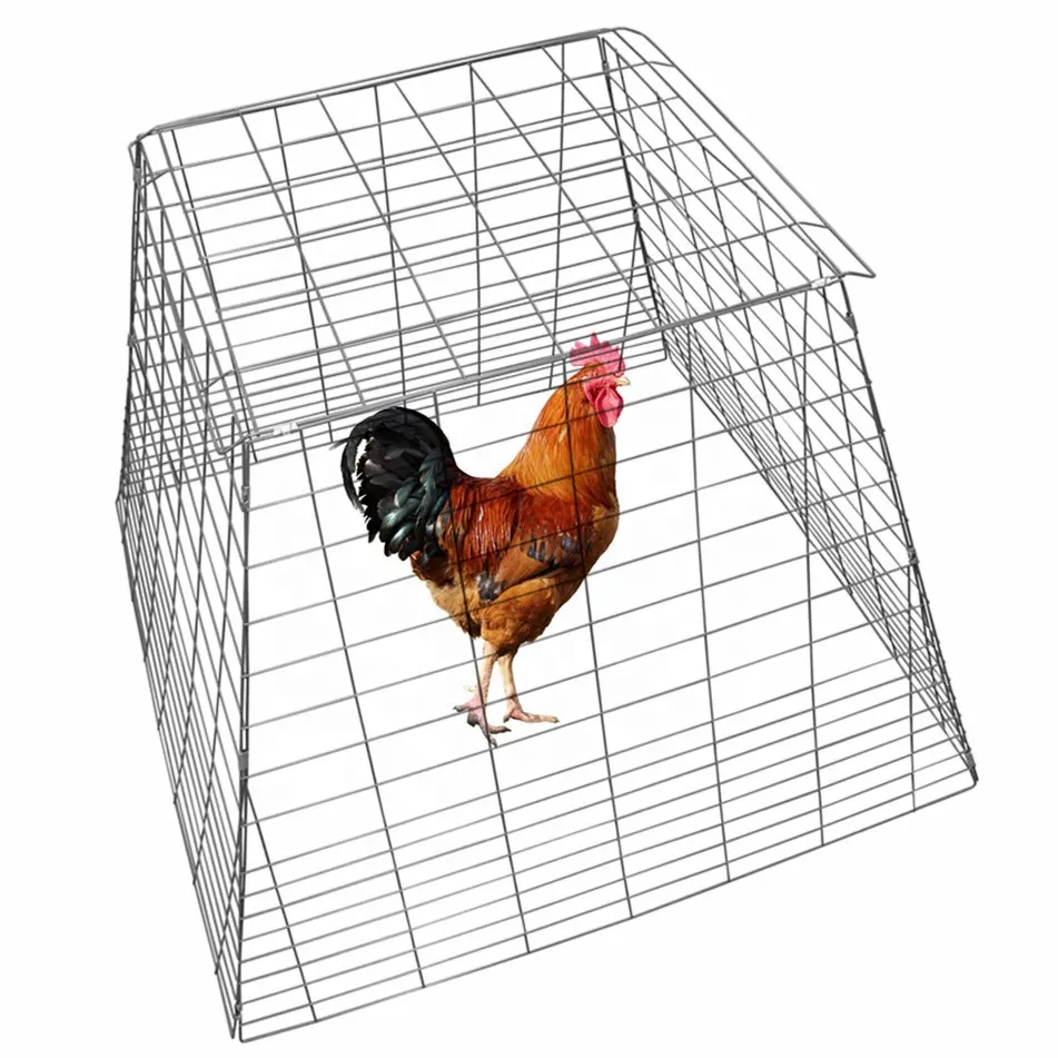Pyramidal Chicken Coop Breeding Cage