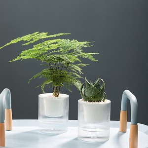 Pot de fleurs transparent Light Tide, minimaliste, pour bureau, plantes d'intérieur, culture hydroponique, plantes en pot, décoration de bureau - Product Image 2