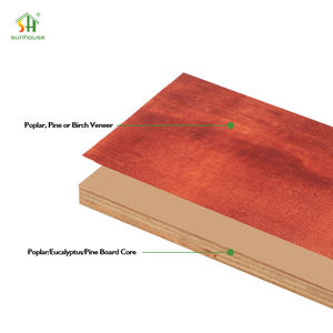 Contreplaqué pour coffrage en béton de 12 mm, 15 mm, 18 mm, contreplaqué <span class=keywords><strong>film</strong></span>é pour la construction - Product Image 4