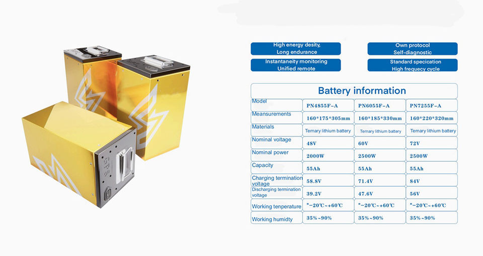 60V Lithium Battery Pack with Charger for Electric Vehicles