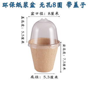 <span class=keywords><strong>Pot</strong></span> de semis de plantes biodégradable pots de pépinière carrés arrondis réutilisables avec ou sans drainage avec couvercle transparent en plastique - Product Image 6
