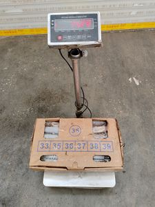 Calmar du Pacifique Sud, calmar rond entier congelé individuellement avec taille 200-300g, fruits <span class=keywords><strong>de</strong></span> mer sauvages pour la vente en gros - Product Image 4