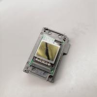 Cabezal de Impresión EPS Xp600 para Impresora Eco Solvente
