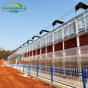 Serre tunnel en plastique PC pour maison, projets clés en main, kit de serre en verre, serre préfabriquée, <span class=keywords><strong>hangar</strong></span> <span class=keywords><strong>agricole</strong></span> - Product Image 4