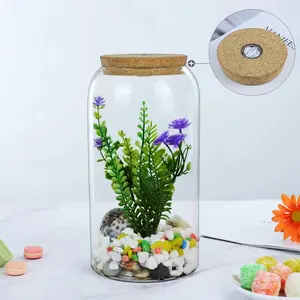 Petit dôme transparent avec bases en liège Mini dôme en verre Pots d'affichage de fleurs avec couvercles en verre