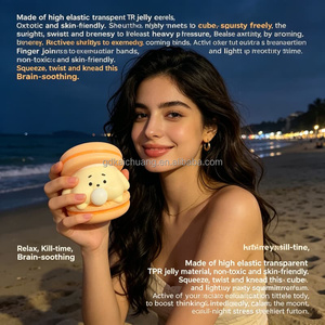 Mainan Kantor Portabel Kotak Misteri <span class=keywords><strong>Burger</strong></span> Gelembung Macaron Kartun Hadiah Squishy Vent Squishy Kulit Lembut untuk Anak-anak Dewasa Relaksasi Sehari-hari - Product Image 3