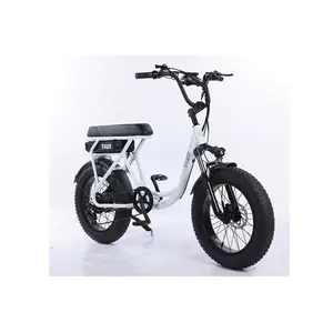 2023 Neues EU UK Warehouse Elektro fahrrad 250W Kostenlose Lieferung 36V Adult Road Elektro fahrrad