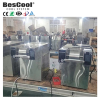 BesCool Meilleure vente Machine à grignoter à la glace électrique flocon de neige pour la maison et le restaurant Capacité de stockage de 20/60/120kg 110v