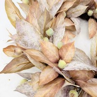 Décoration florale d'automne pour la maison, fruits abondants, couronne