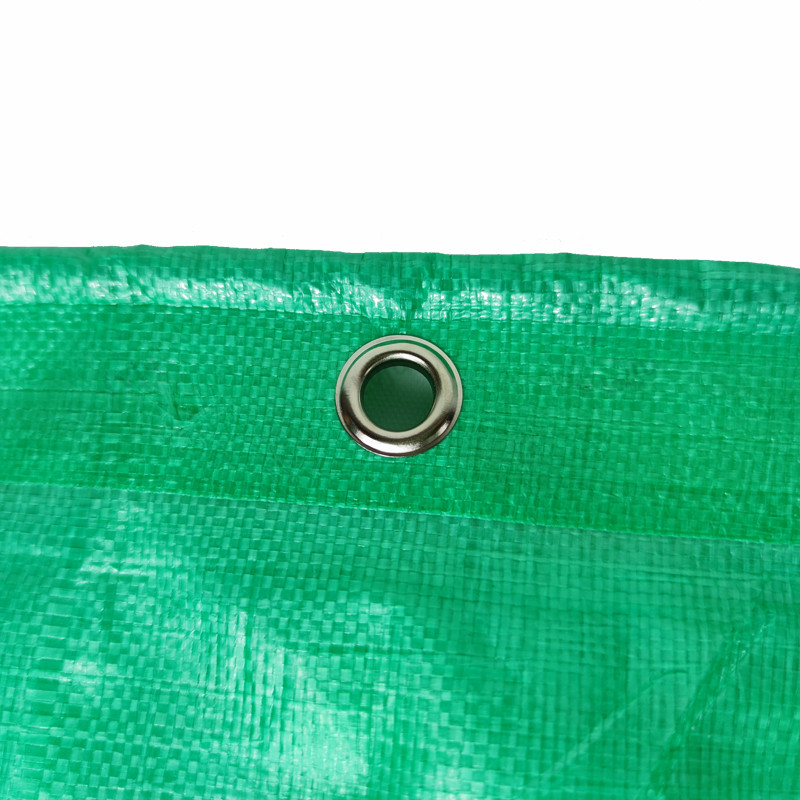 Vert
