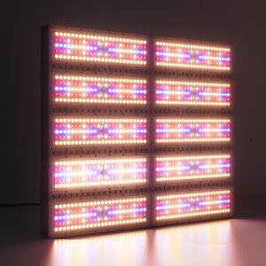 Lampe de culture LED à spectre complet pour <span class=keywords><strong>basilic</strong></span>, menthe, herbes médicinales et applications d'agriculture en serre - Product Image 2