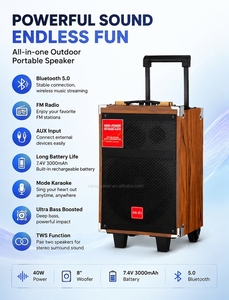 Enceinte portable en bois pour fêtes YE-Q08S, vente directe d'usine en gros, enceinte karaoké, offre spéciale OEM ODM - Product Image 6