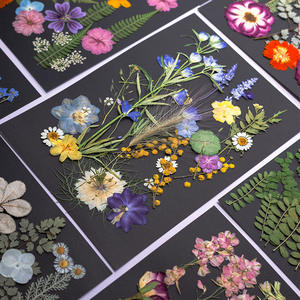 22-36 piezas/paquete flor prensada Asst. Bolsa para MARCO <span class=keywords><strong>DE</strong></span> ARTE Decoración del hogar Vela <span class=keywords><strong>de</strong></span> Arte <span class=keywords><strong>de</strong></span> resina - Product Image 1