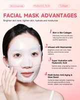 Masque Hydrogel Nuit au Bio-Collagène Personnalisable avec Logo – Hydratation Profonde Réelle, Minimisation des Pores, Effet Raffermissant en 2 Heures