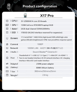 Nouvel ordinateur portable de jeu <span class=keywords><strong>X17</strong></span> Pro coloré de 17,3 pouces, Intel I9-12900H 12 cœurs, 16 Go de RAM, 512 Go SSD, RTX3080TI, 165 Hz, Windows 10, ordinateur portable de jeu RGB - Product Image 6