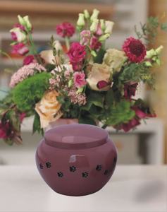 Vente chaude élégant Style américain empreinte de patte en laiton urne commémorative pour les cendres d'animaux de compagnie chéris fournitures funéraires Premium - Product Image 6