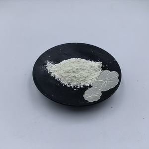 Poudre de Natamycine E235 en Gros, Conservateur Alimentaire en Vrac 50% 95% - Product Image 2