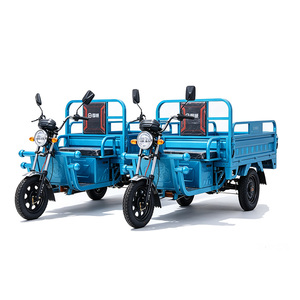 Tricycle électrique cargo 1000W 48V, carrosserie ouverte, capacité de charge 300-400 kg, bleu - Product Image 4