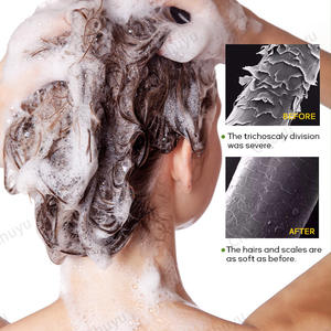 Shampoo à l'infusion botanique avec huile d'argan et kératine pour réparer les cheveux abîmés, contrôler les frisottis et donner de l'éclat - Product Image 3