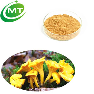 Extracto de Hongo <span class=keywords><strong>Cantharellus</strong></span> <span class=keywords><strong>Cibarius</strong></span> (Chanterelle) Puro y Natural para el Cuidado de la Piel Antienvejecimiento - Product Image 2