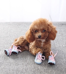 Venta al por mayor de fábrica: Accesorios de moda con estampado ecológico para perros, zapatos de mezclilla tipo <span class=keywords><strong>Converse</strong></span> para uso invernal. - Product Image 4