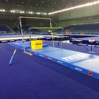 Barres asymétriques de gymnastique professionnelles réglables de compétition standard internationale pour la vente