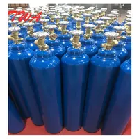 TWA Silinder Gas Oksigen Medis, Silinder Gas Oksigen Medis dengan Regulator Ke Indonesia 5L 10L 40L 46,7l 50L
