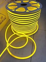 Tira de LED Flexible de Neón Blanca, 220V, 8x16mm, 100m, IP67 Impermeable, para Publicidad Exterior y Decoración de Bares, Certificación CE, Personalizable