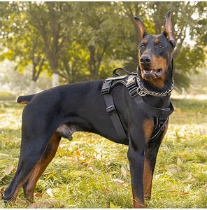 Nouveau <span class=keywords><strong>harnais</strong></span> de poitrine tactique pour chien de grande taille avec <span class=keywords><strong>harnais</strong></span> tactique pour chien réfléchissant la nuit - Product Image 1