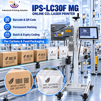 Imprimante laser CO2 en ligne IPS-LC30F MG pour le marquage des codes-barres, des codes QR, des logos, des numéros de lots et des dates d'expiration