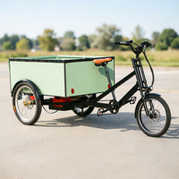 Chariot de restauration électrique à trois roues pour hot-dogs, pizzas et hamburgers, avec pneus larges, type semi-remorque, vélo de livraison électrique, vélo cargo électrique à 3 roues